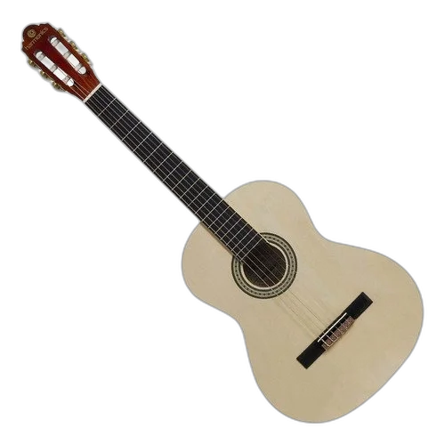 Kit Violão Eletroacústico Nylon Canhoto Gna-111 Nt Harmonics