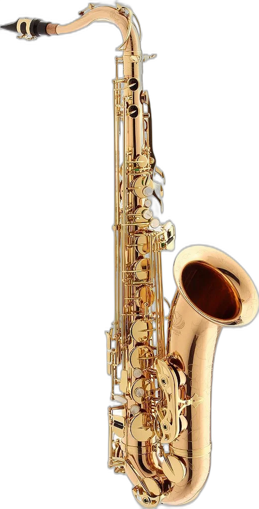 Saxofone Eagle Tenor Stx-513 Bronze Profissional