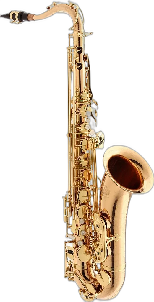 Saxofone Eagle Tenor Stx-513 Bronze Profissional