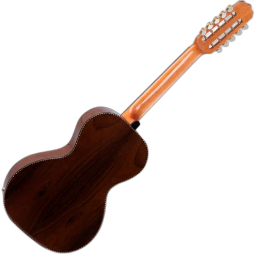 Viola Elétrica Rozini Cinturada Presença Brilho RV215.FPP.N.LP