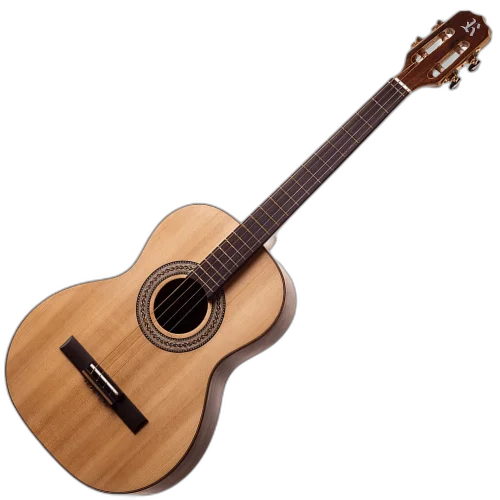 Violão Elétrico Rozini Profissional Tenor RX208.AT.N.J EQ