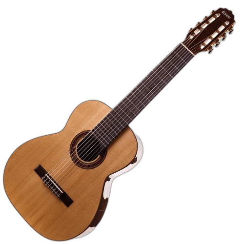 Violão Acústico Rozini Profissional 8 Cordas RX228.AC.N.J