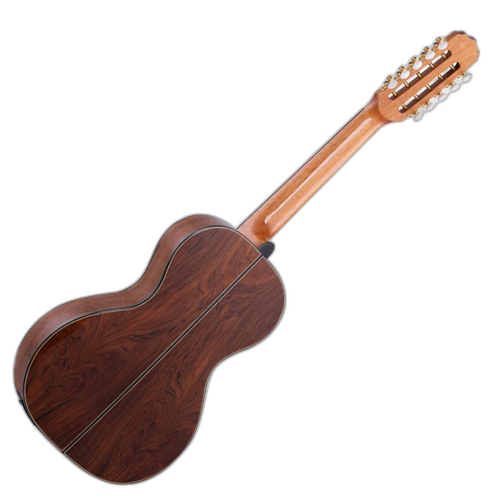 Viola Rozini Elétrica RV102.AT.N.J Profissional Cinturada