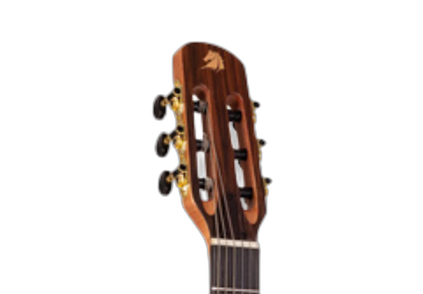 Design Cutaway Premium
