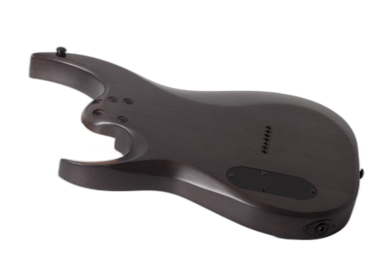 Tarraxas Locking Schecter