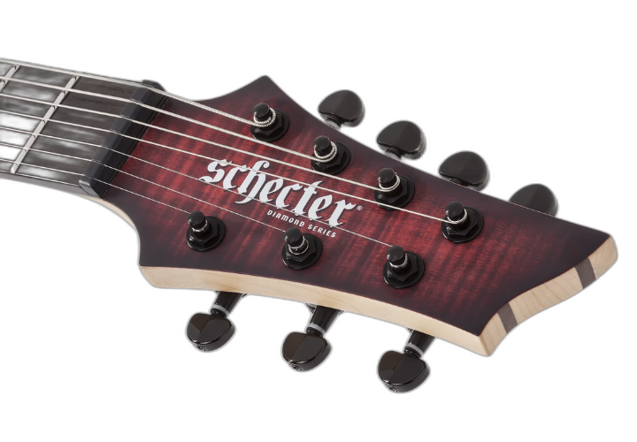 Tarraxas Locking Schecter