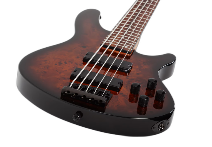 Ponte Schecter Custom