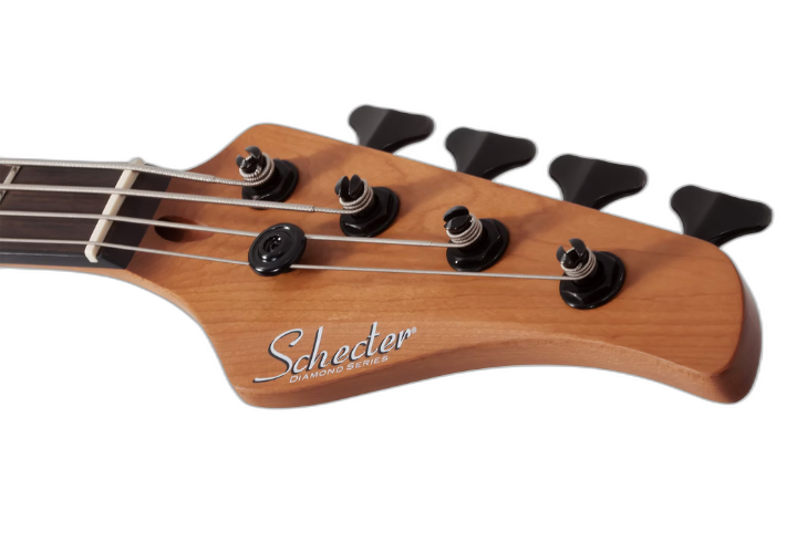 Ponte Schecter Custom
