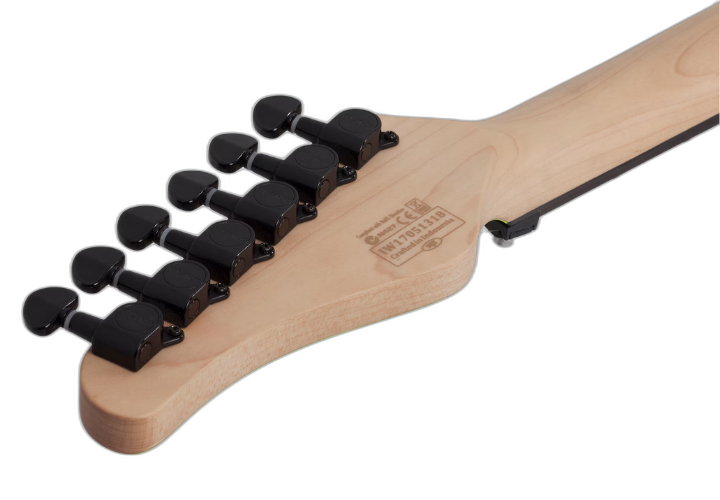Tampo Flamed Maple