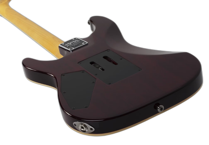 Ponte Floyd Rose Special