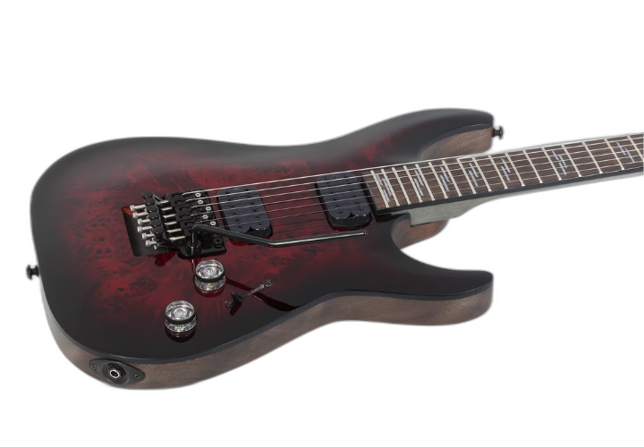 Ponte Floyd Rose Special