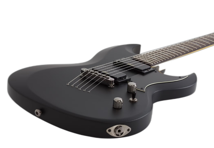 Tarraxas Schecter