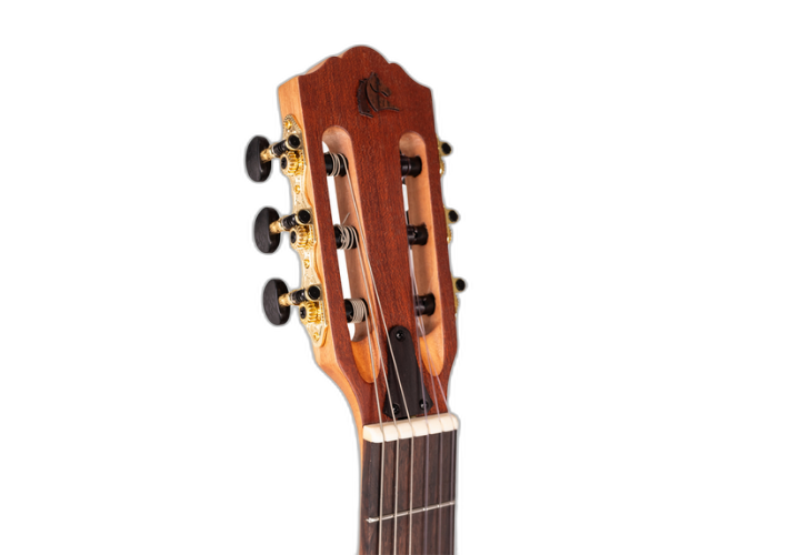 Corpo 100 % Mahogany