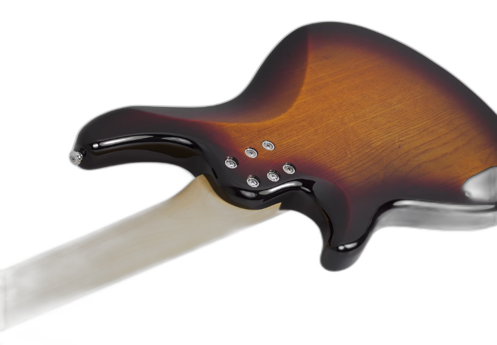 Tarraxas Schecter Locking