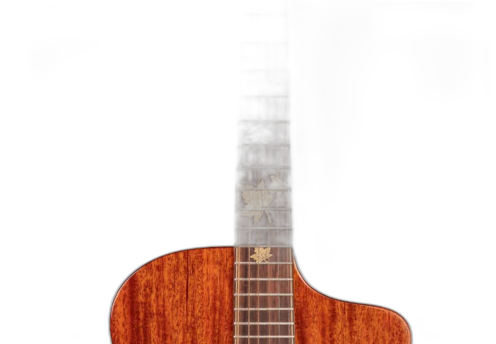 Cutaway