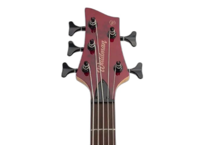 Corpo Basswood Spalted Red