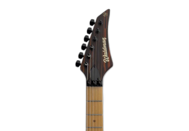 Corpo Basswood Dark Natural