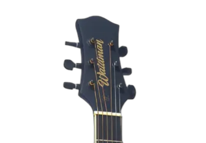 Violão Eletroacústico Waldman TFCE-140 BK Black Aço Basswood Nato EQ-3RTX com Afinador
