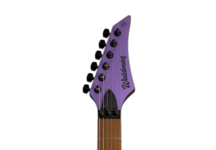 Corpo Basswood Purple