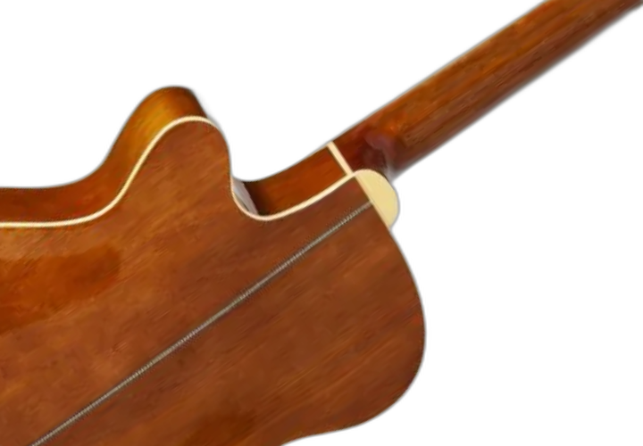 Tampo Alder