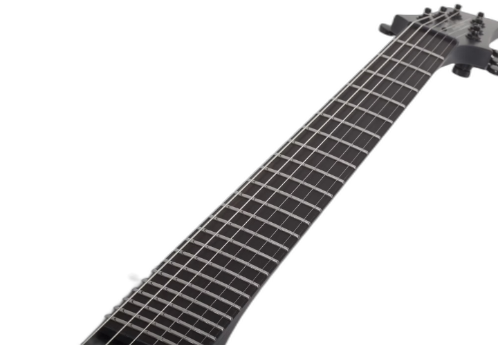 Tarraxas Schecter