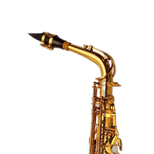 Saxofone Alto P. Mauriat PMSA-185 AGL Gold Lacquer com Tudel Super VI e Campana Gravada à Mão