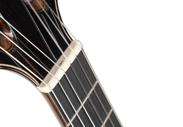 Sistema Fishman S-Core VTB