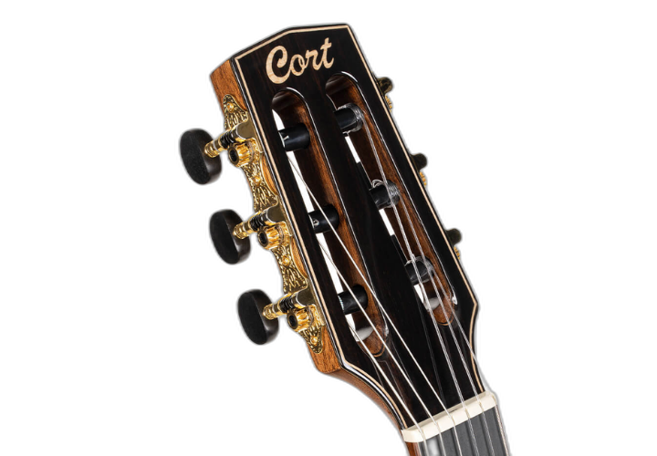 Sistema Fishman S-Core VTB