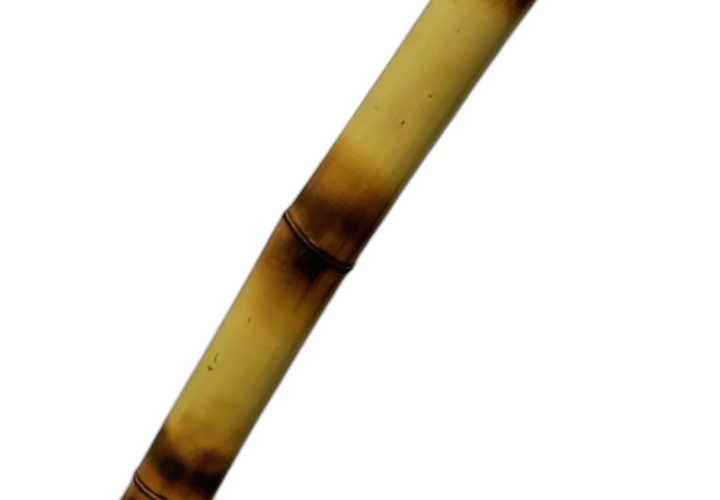 Tubos de Bambu Natural Sustentável NC Caieiras