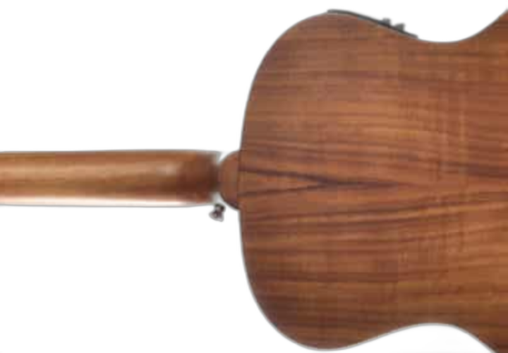 Corpo Solid Koa