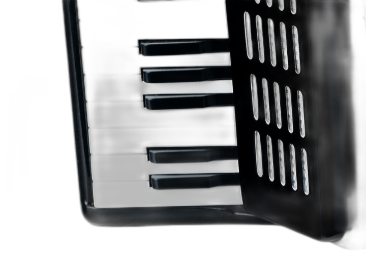 Estrutura Madeira Nobr e Palhetas Inox