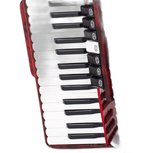 120 Baixos Palhetas Inox