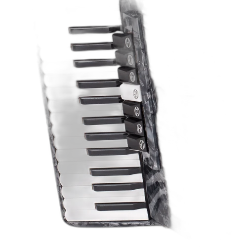 Acordeon Michael ACM8007N Preto Perolado 80 Baixos 7 Registros Terça de Voz 37 Teclas Palhetas Aço Inoxidável Fole Linho Couro Bag com Rodinhas e Alça