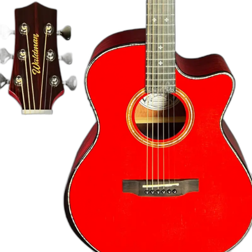 Corpo Grand Auditorium Cutaway