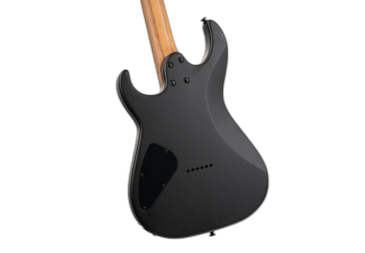 Tampo Pale Moon Ebony Natural Black Burst