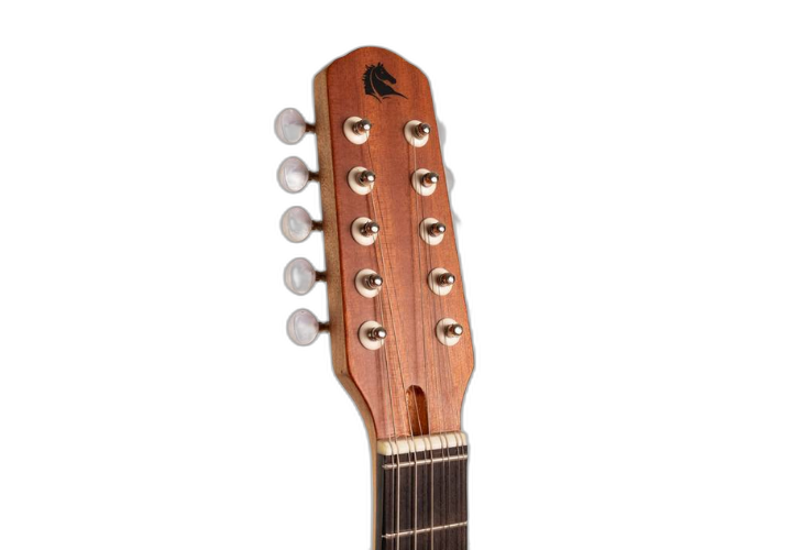 Corpo Ponteio Viola