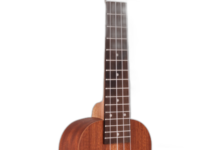 Laterais e Fundo Sapele