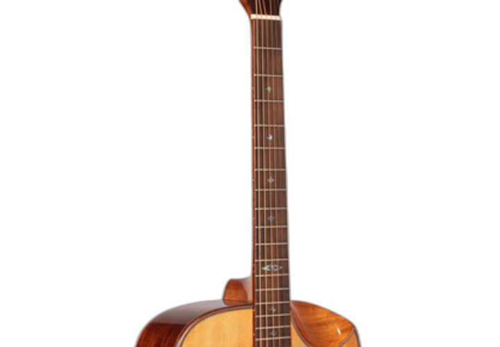 Corpo Folk Anatômico Half Cutaway