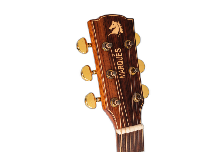 Escala Rosewood e Braço Mahogany