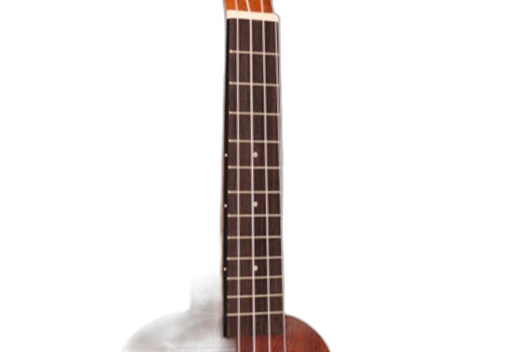 Braço Cedro e Escala Rosewood