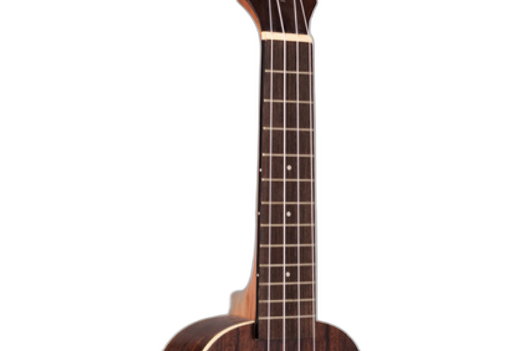Braço Cedro e Escala Rosewood