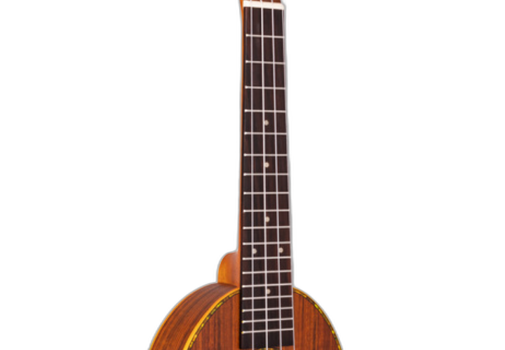 Braço Cedro e Escala Rosewood