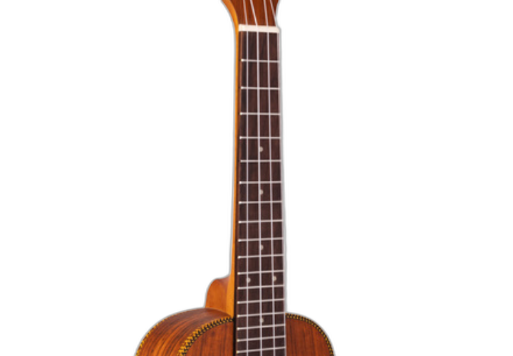 Braço Cedro e Escala Rosewood com Armrest