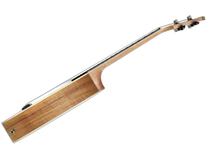 Nut e Rastilho em Osso e Detalhes no Headstock