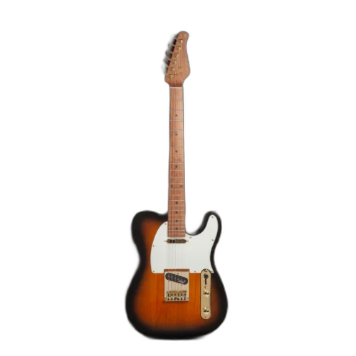 Guitarra Benson Hardy HD T 904 2TS AW Gold 2-Tone Sunburst com Corpo Alder Braço Roasted Maple Parafusado Escala Roasted Maple 22 Trastes 2 Captadores Single Coil Wilkinson Alnico e Bag
