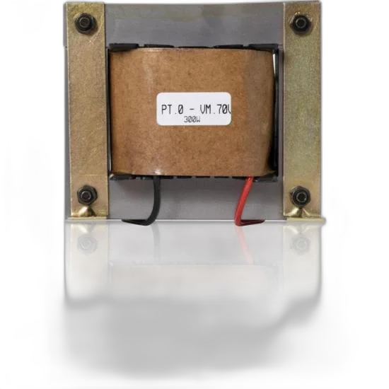 Trafo Tronco 100V 300W TSA Hayonik