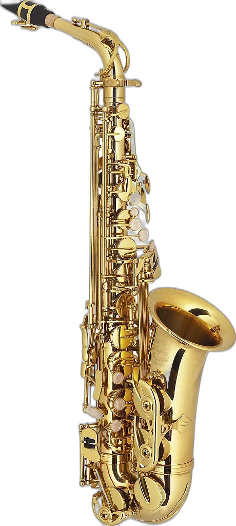 Saxofone Alto Hofma HSA 400 GLQ Com Estojo