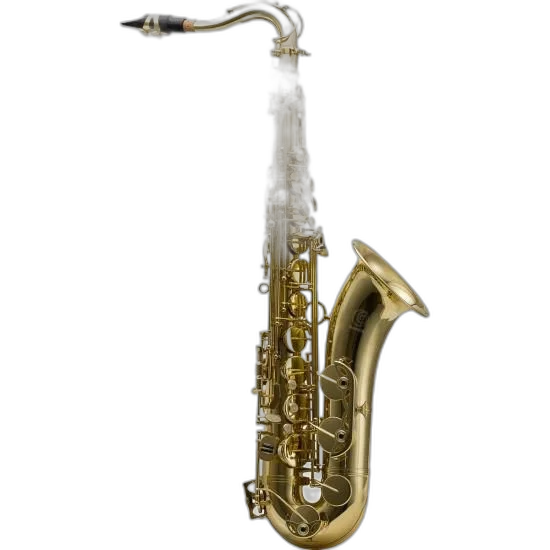 Saxofone Harmonics BB HTS-100L Tenor Laqueado