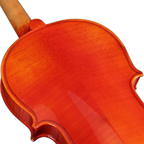Corpo Maple e Verniz Brilhante