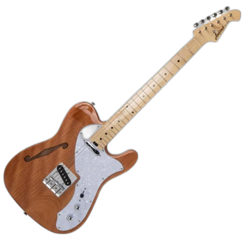 Guitarra Aria TEG-TL Natural